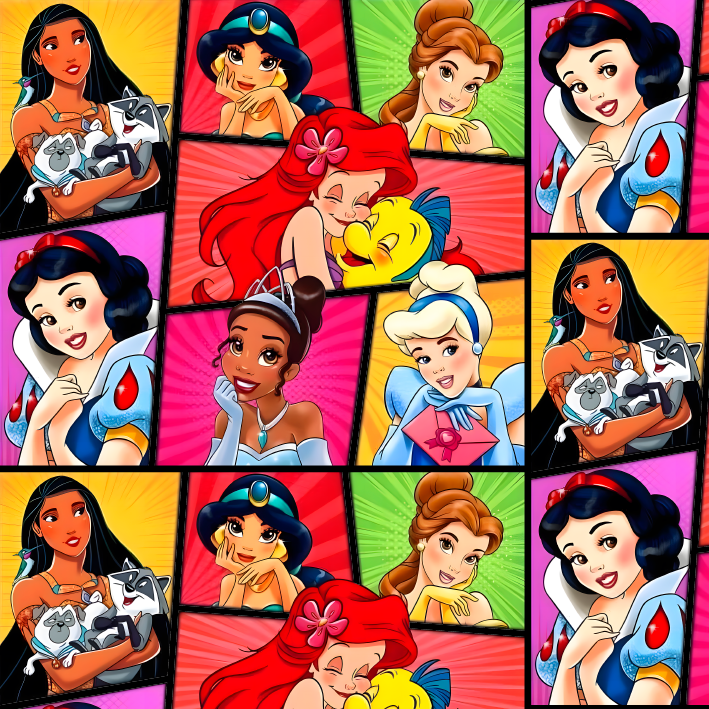 BRUSH ESTAMPADO PRICESAS DE DISNEY CUADROS DE COLORES