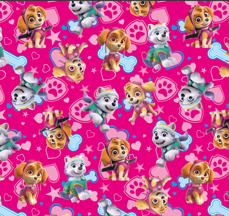 BRUSH ESTAMPADO PAW PATROL FONDO FUCSIA