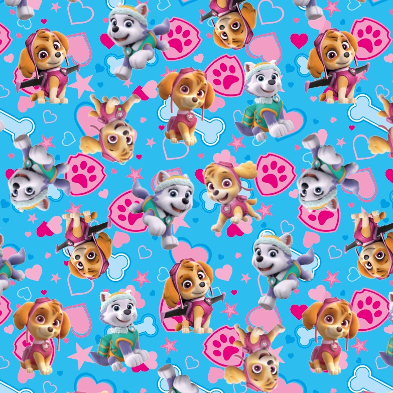 BRUSH ESTAMPADO PAWPATROL FONDO TURQUESA