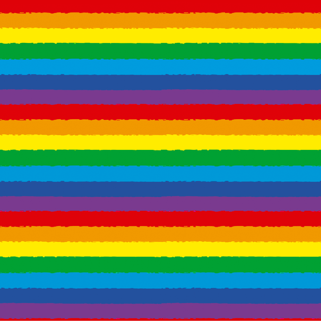 BRUSH ESTAMPADO BANDERA LGBT