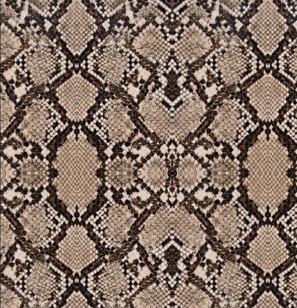 BRUSH ESTAMPADO SERPIENTE 2