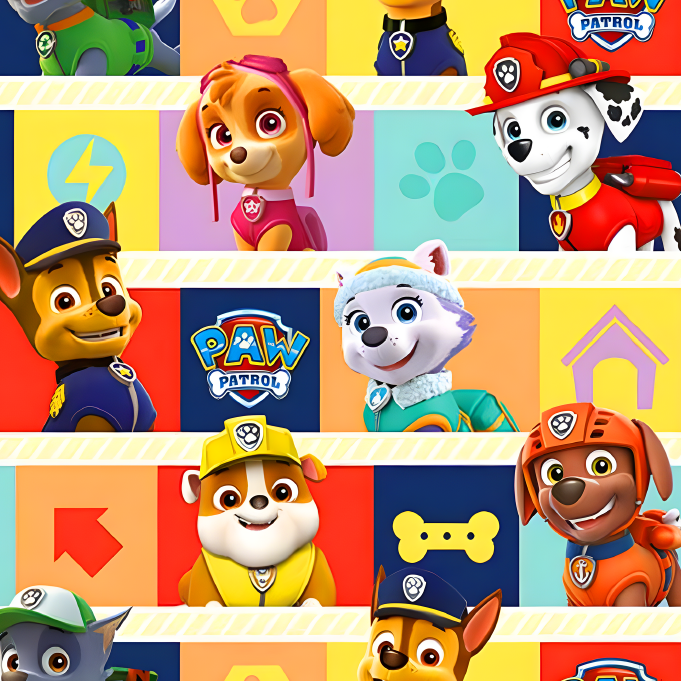 BRUSH ESTAMPADO PAW PATROL CUADROS DE COLORES