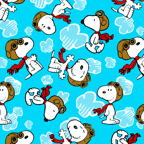 BRUSH ESTAMPADO SNOOPY AVIADOR