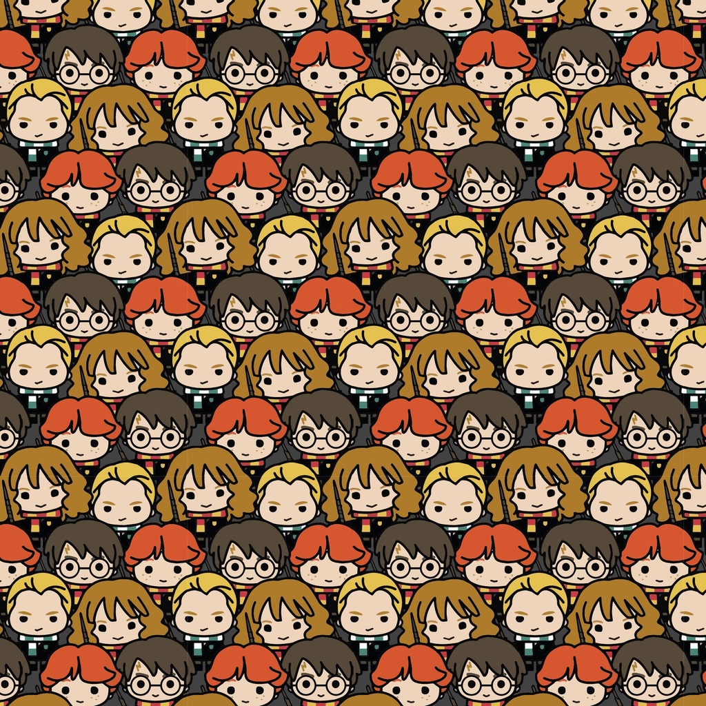 BRUSH ESTAMPADO HARRY POTTER 2