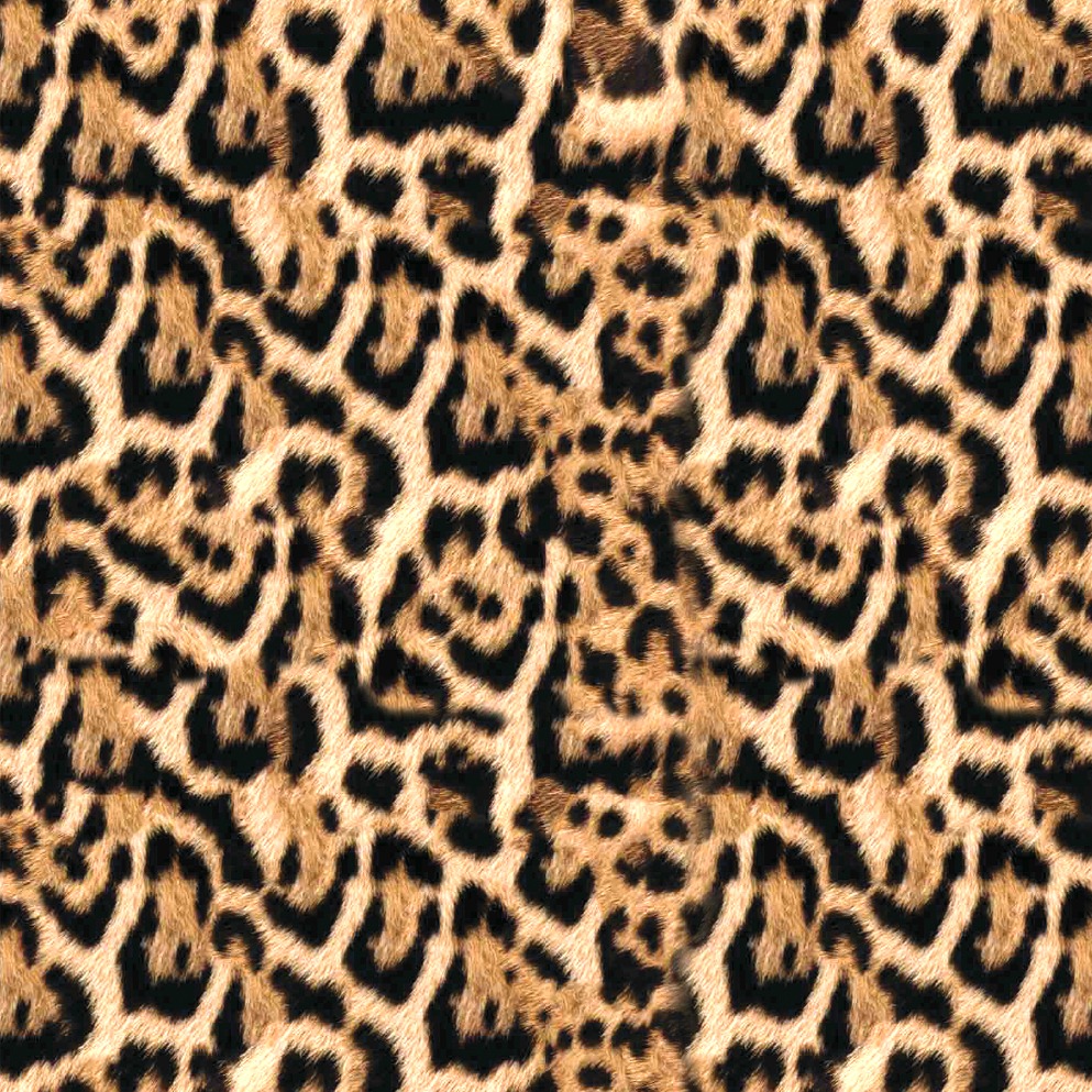 BRUSH ESTAMPADO JAGUAR 4