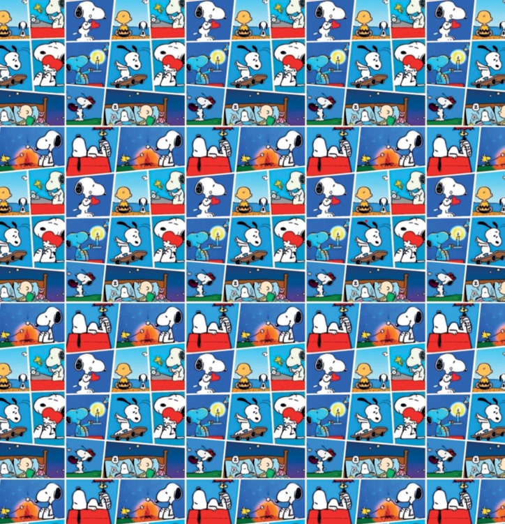 BRUSH ESTAMPADO SNOOPY CUADROS