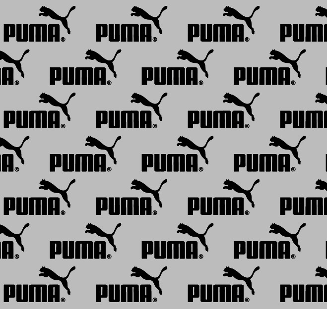 BRUSH ESTAMPADO PUMA GRIS LETRA NEGRA