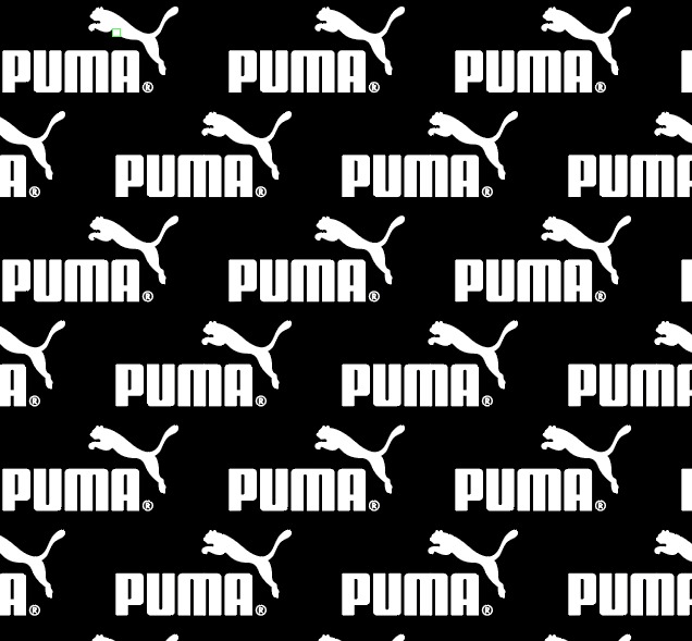 BRUSH ESTAMPADO PUMA NEGRO LETRA BLANCA
