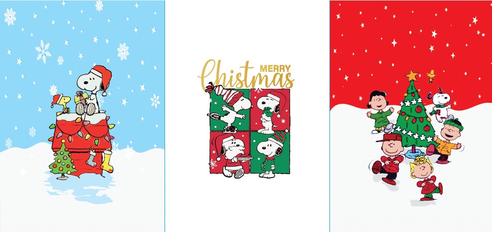 BRUSH ESTAMPADO FRENTE SNOOPY 3