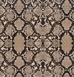 [PSE1001] BRUSH ESTAMPADO SERPIENTE 2