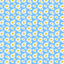 [FLO1023] BRUSH ESTAMPADO FLORES DE MANZANILLA FONDO CELESTE