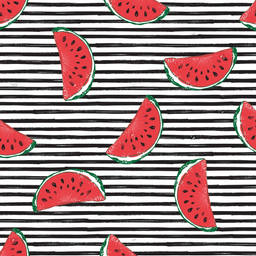 [FLO1034] BRUSH ESTAMPADO SANDIAS FONDO BLANCO & NEGRO