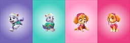 [FPA1001] BRUSH ESTAMPADO FRENTES PAW PATROL NIÑA