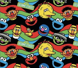 [VSE1000] BRUSH ESTAMPADO SESAME STREET